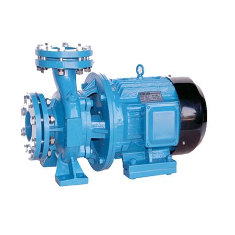 beacon monoblock centrifugal pump|End Suction Pump .